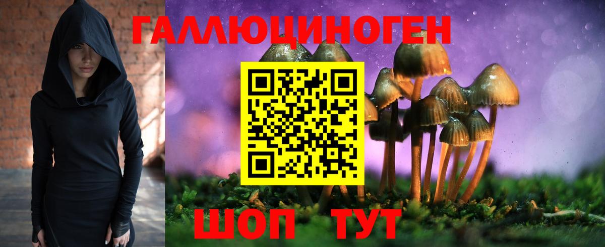 Галлюциногенные грибы Psilocybine cubensis Когалым